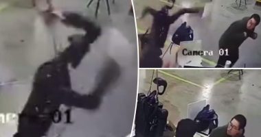 Violent humanoid robot snaps â attacks factory workers: video